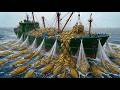 Hunting the Giant Golden Flounder: Deep Water Monster Catch