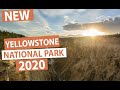Yellowstone National Park 2020 | Most Beautiful Places in the USA
