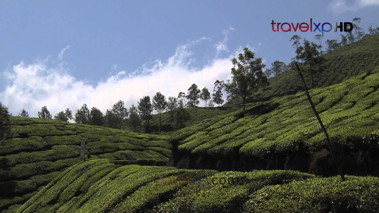 Xplore India - Kerela