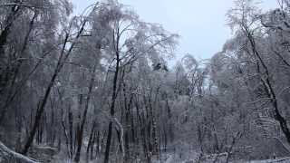 Bastille Feat. Ella - No Angels - Choreography By Matic Zadravec