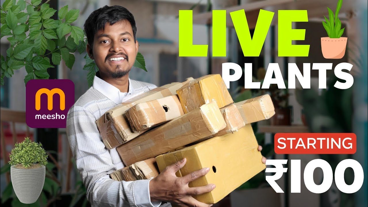 Interesting LIVE FLOWER PLANTS Under ₹250 from MEESHO | Best Home Decor Outdoor/Indoor Plants
