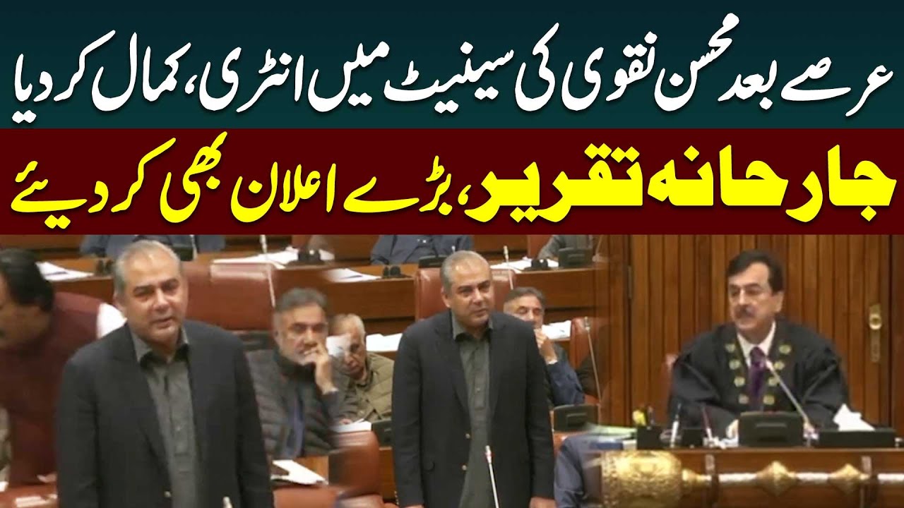 Mohsin Naqvi on Fire | Furious Speech in Senate | 27th Amendment | Public News