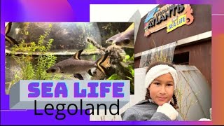 REISEZIEL: SEA LIFE - Legoland