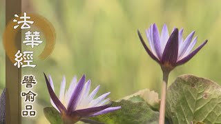【靜思妙蓮華】法華經譬喻品 - 三觀空有 行菩提道 - 20201202 第577集