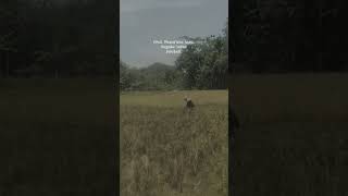 Download Lagu prei menerima info info MP3