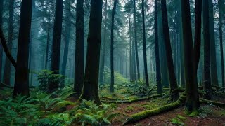 🌟 Magical Forest Adventure with Lily | Bedtime Story for Kids 🌟