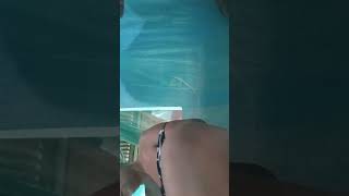 Arrumand Minha Filhinha