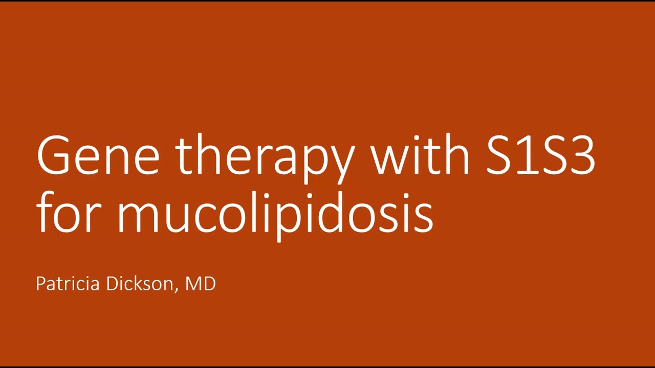 Gene Therapy with S1S3 for Mucolipidosis (ML)