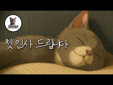 ✅ “고양이 초보 집사라면 꼭 보세요 🐾 6년차 집사가 전하는 고양이 키우기 정보 채널 소개 | 고양이라이프”