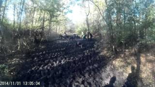 Winter Wolf Run  - 2014