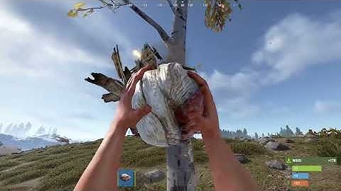 Rust Stuck on spawn...