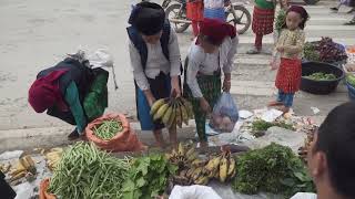 Vietnam Commodity Market Reform: Clear Rules & Sharper Hedging