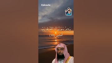 سورة يونس، من الآية(9)إلي الآية(10)،بصوت القارئ الشيخ صلاح البدير.