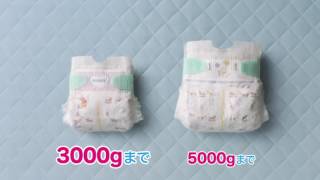 ムーニー　エアフィット　バースディソング篇　15秒