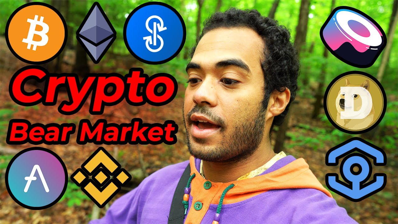 What to do in Crypto Bear Market (My Strategy & Tips -  2021)