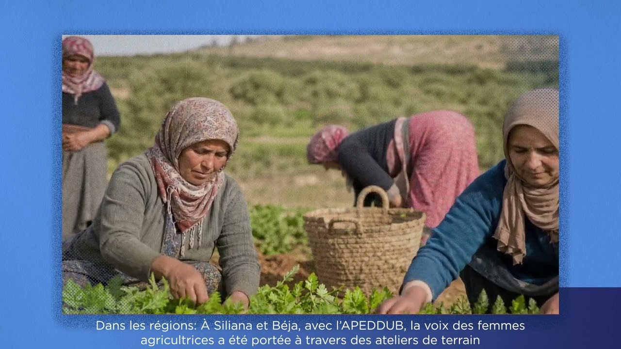 Appui aux initiatives destinées à analyser les données et choix économiques, à nourrir le débat public et à formuler des propositions sur les politiques économiques