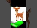 Rabbit, Fish &amp; Deer 🐰🐟🦌 #quiz #kids #kidssongs #learningvideos