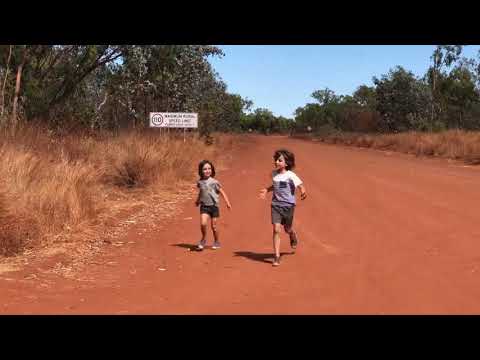 Video: Seroprevalentie En Risicofactoren Voor Blootstelling Aan Rickettsia Felis Bij Honden Uit Southeast Queensland En Het Northern Territory, Australië