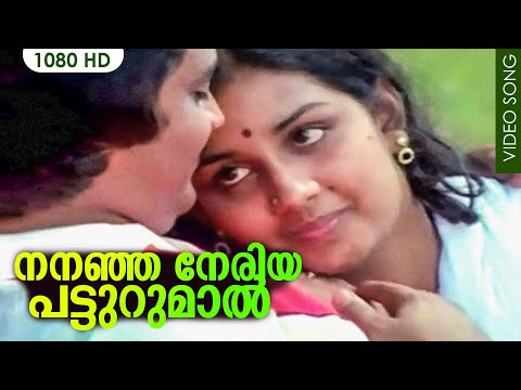 നനഞ ഞ ന ര യ പട ട റ മ ല Nananju Neriya Patturumaal Ente Mohangal Poovaninju Yesudas S Janaki
