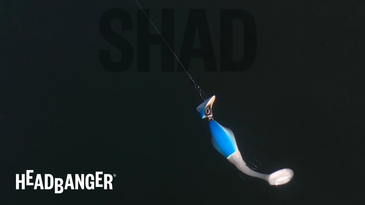 Headbanger Shad 4.5" - Swimming Action