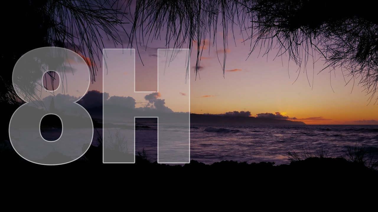 4K Calm Hawaii Beach at Night 8h 🌙 | Relaxing Sleep Sounds (No Talking) | 고요한 밤 Still Night