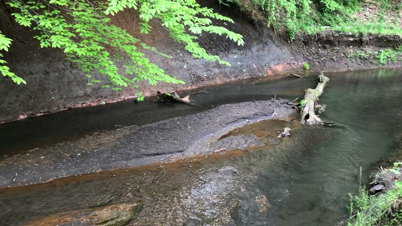 Big Brook NJ Fossil Hunting 101: Where do I look ? 