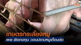 เกษตรกรเลี้ยงหมู เผย ยังขาดทุน วอนปราบหมูเถื่อนต่อ   | MONO ข่าวเย็น  | 21 พ.ย.  66
