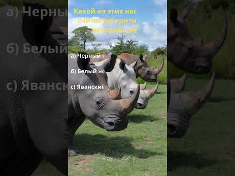 Викторина на тему