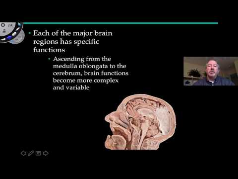 An Introduction to