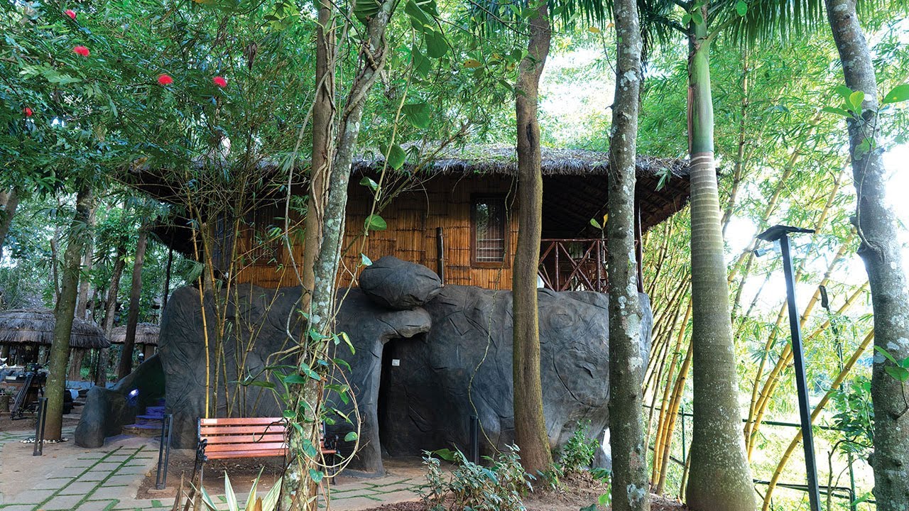 Forest Maze Resort Kabini, Wayanad