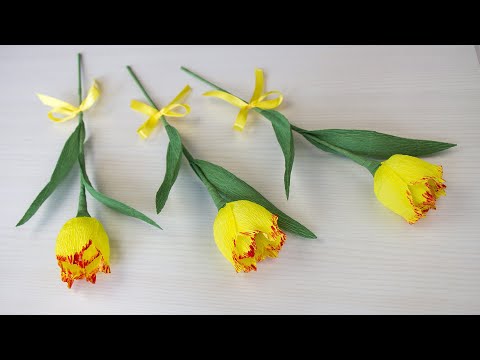 Video: Kaip Padaryti Gofruoto Popieriaus Tulpę