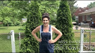 Edible Landscaping with Miss Danielle | Gro-Town | Great Lakes Ace Hardware