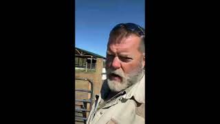 Abundance and Homesteading: Anyone Can Farm