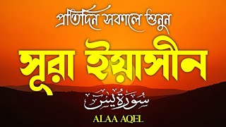 Download Lagu সকালের বিশেষ তেলাওয়াত সূরা ইয়াসীন | (سورة يس) Surah Yasin | Heart Melting Tilawat | By Alaa Aqel MP3