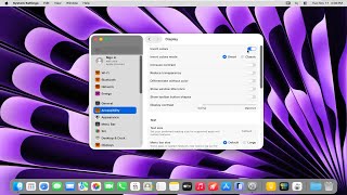 How To Enable Inverted Colors on macOS [Guide] screenshot 2