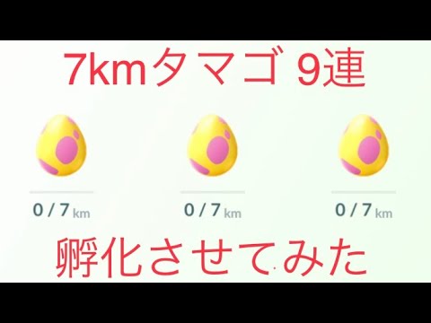 ポケモンGO 7kmタマゴ の9連孵化