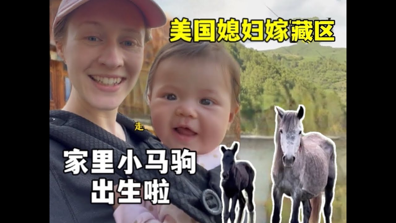 From the U.S. to the Highlands of China-introducing my daughter to our family's newborn foal. 🌄🐎