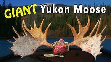 Yukon MOOSE Hunting BY BOAT! with Mike Eastman (Eastmans