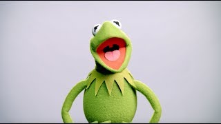 Kermit The Frog Buzzes In Muppet Thought Of The Week By The Muppets