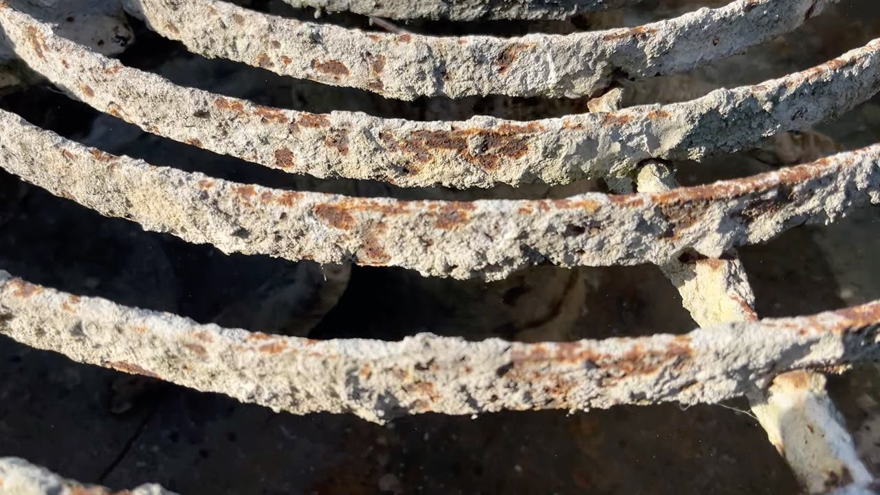 Køb Tvangsblander Starmix SM320 på Klaravik