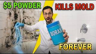 $5 Powder KILLS All Black Mold FOREVER. No Bleach. Remediation Industry BURIED This. Information