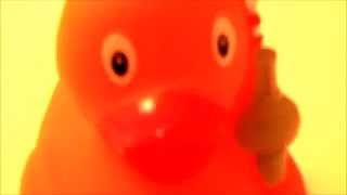 Woggys Life Fix Series Episode 2 - When Room Dark...