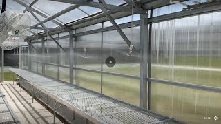 Green house sprinklers