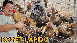Doyet Lapido Dl Farm  Big Farm In Philippines