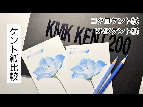 ケント紙比較｜色鉛筆画 - YouTube