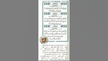 سورة الإخلاص للقارئ  الشيخ محمد الفقيه  Mohammed Al Faqih  #learning #education