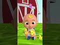 How Many Baby Chicks Can You Count! #Cartoonsforkids #AnimalsforKids #LearnAnimals