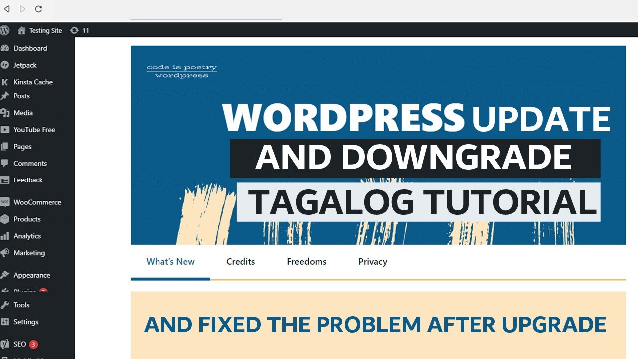How to Update WordPress & Rollback Undo to Previous Version Plugin