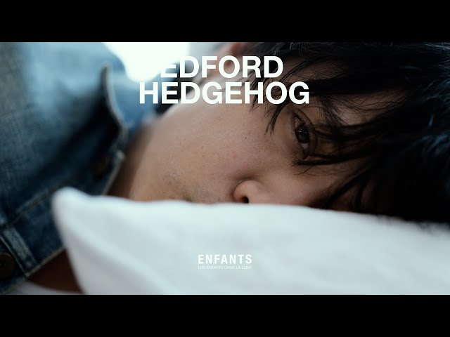 Enfants - Bedford Hedgehog (Official Trailer) - YouTube