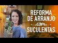 Como REFORMAR arranjo de SUCULENTAS